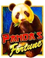 ทรรศนะ บอล สูงเกม ไฮโล เขย่า เอง: ประสบการณ์ทดลองเล่นสุดมันส์